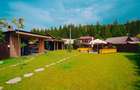 Business HoReCa de Top în Bucovina - 14