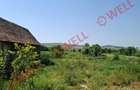 DE VÂNZARE TEREN INTRAVILAN ÎN BĂLĂUȘERI - 3