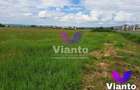 Oportunitate Teren Intravilan 9000mp-Turnisor - 4