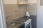 Apartament 2 camere Hala Centrala - 5