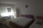 Vanzare apartament 2 camere Sulina - 3