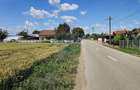 Teren 15,000mp Salcea-Prelipca, Suceava - 12