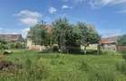 Proprietate de vanzare, teren 5488 mp, localitatea Ambud, comuna Paulesti - 13