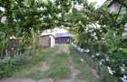 casa P+E cu 2 intrari, 240 mp, 7 cam,  in Becicherecu Mic, la 15 km de Timisoara - 13