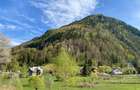 Teren panoramic însorit, utilități, panta mica si pădure, turism sau vacanță - 3