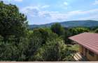 Arges | Valea Mare-Bratia | Vila 276 mp Lot 2063 mp | Zona Pitoreasca! - 2