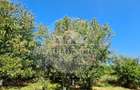 Vila Ialomita -Livedea lac - 16