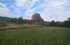 650 mp de liniste, natura si aer curat in Brebu, Prahova