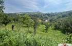 Teren intravilan de vanzare in Metes - Ampoita - 1