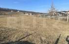 Teren intravilan de vanzare, 742 mp, zona Valea Rusului - 2