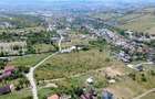 TEREN EXTRAVILAN  16758 MP PARCELABIL  STRADA POMET IRIS - 6
