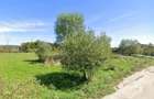 Teren intravilan 2.000m², Bascov - Arges - 5