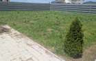 Casa noua! Vila  P+M, situată în zona Buftea –Samurcasi - 29