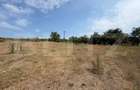 Teren extravilan de vanzare, 60402 mp, zona Archia - 4