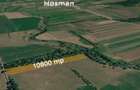 Teren intravilan 10.800 mp - Nocrich, Sibiu - 2