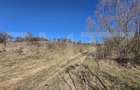 Teren de vanzare de 8,567MP in zona: Tarpiului