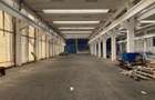 Vanzare depozit/hala/spatiu industrial Berceni - Oltenitei - 8