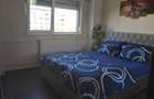 3 camere Iancului Pet friendly - 11