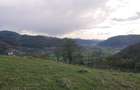 Domeniu de 7 ha in Apuseni - Criscior, Hunedoara - 8