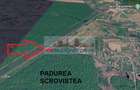 VANZARE TEREN, Sat.Balteni, com. Peris, Padurea Scrovistea, jud IIlfov - 10