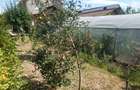 Casa P+1 de vanzare, 125 mp, zona Romanesti - 10
