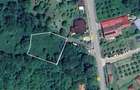 Teren Salatrucel Calimanesti intravilan cu curent 380V 3300mp - 1