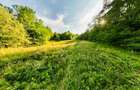 Teren de 11700 mp în mijlocul naturii la 2 ore de București - 1