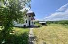 Teren intravilan 8.774 mp cu deschidere la pădure / Măres, Albota - 7