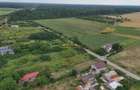 Teren intravilan Peris 10.000 mp pt complex de case - 7