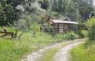 Casă individuală 6 camere de vânzare Brăduleț Argeș Complex Cabane - 25