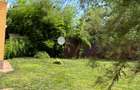 Pipera vila P+1, 200 mp, teren 420 mp, 3 dormitoare, 3 bai, zona linistita - 2