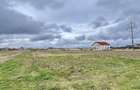 Teren Intravilan Sanmartin 1391mp - 3