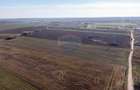 Vanzare teren intravilan 7.500 mp Sabareni - 4