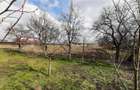 De vanzare, teren intravilan 11200 mp Nazna , Mures - 4