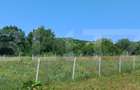 Teren extravilan de 1000 mp, situat pe strada Ghinzii - 5