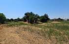Teren 5.465 mp intravilan și front stradal – Topraisar, Constanța Comision Zero - 23