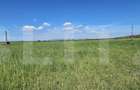 Teren agricol, 7 hectare, zona Ozun - 3