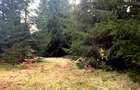 Vanzare 5,3 ha păsune deasupra Voronețului Suceava - Proiect Turistic - 34