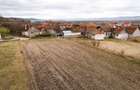 RECO ,teren intravilan in Tinaud,Bihor - 9