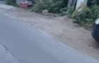 Ciolpani teren intravila 2500 mp de vanzare - 2