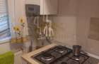 Apartament 2 camere de închiriat | Drumul Fermei | Centrală proprie Pet Friendly - 6