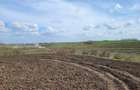 VANZARE TEREN PRUNDU INTRAVILAN AGRICOL GIURGIU POTENTIAL - 8
