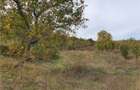 Casă Tradițională Săsească ?n loc.Aciliu cu 2974mp tere - 24
