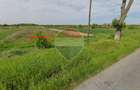 Vanzare teren extravilan 28800 mp,  sat Posta, jud Giurgiu - 14