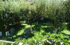 Apartament 3 Camere+ TEREN  la Vilă – Vedere Unică la Parcul Sub Arini - 16