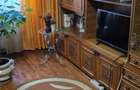 Apartament 2 camere confort 1 Targoviste Micro 12 - 1