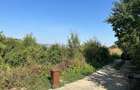 Teren intravilan 500 mp Vlădiceni – Tomești , priveliste spre Iasi, parcela cu apa+curent - 6