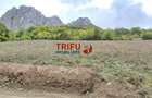 Teren Intravilan de Vanzare in Zona Turistica Ramet - 1