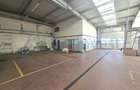 Spatiu de tip hala showroom pentru clinica medicala, imagistica Clujului, Oradea - 17
