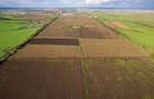 Teren de 10 Hectare în Arad - 5